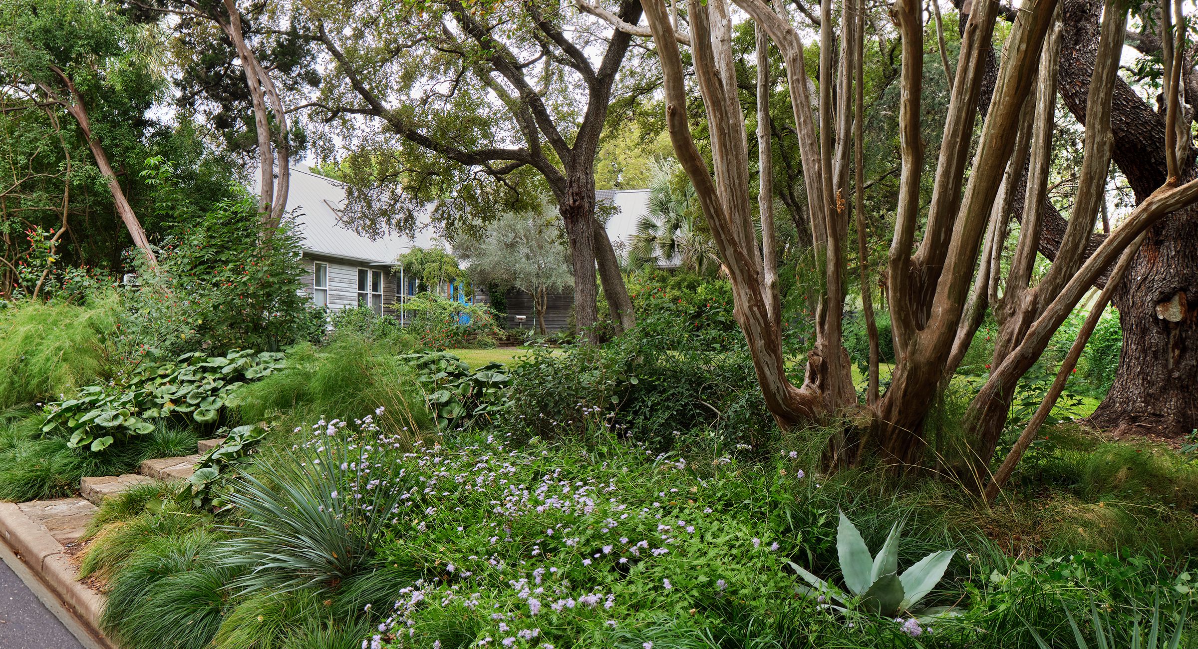 CAMPBELL LANDSCAPE ARCHITECTURE